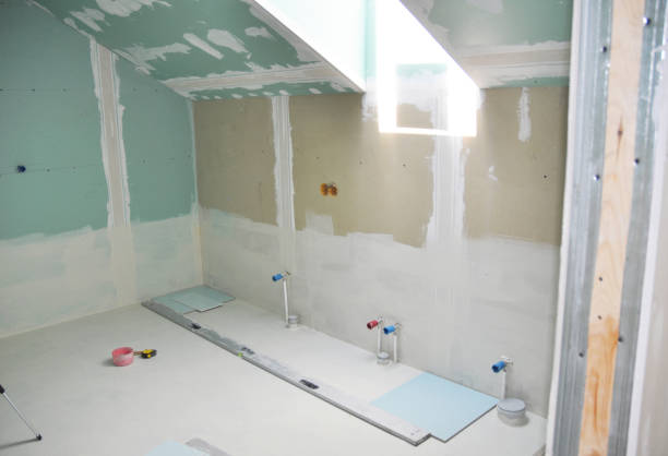 Best Attic Mold Removal  in Las Campanas, NM