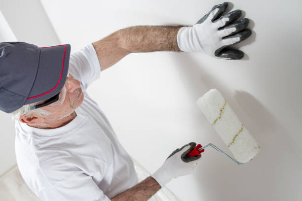 Best Mold Documentation for Insurance Claims  in Las Campanas, NM