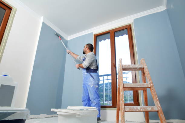Best Mold Odor Removal Services  in Las Campanas, NM