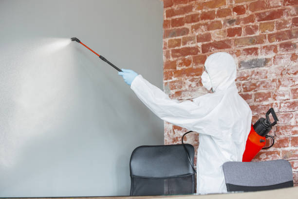 Best HVAC Mold Inspection and Cleaning  in Las Campanas, NM