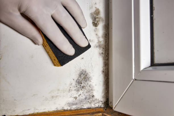 Mold Remediation for Vacation Homes in Las Campanas, NM