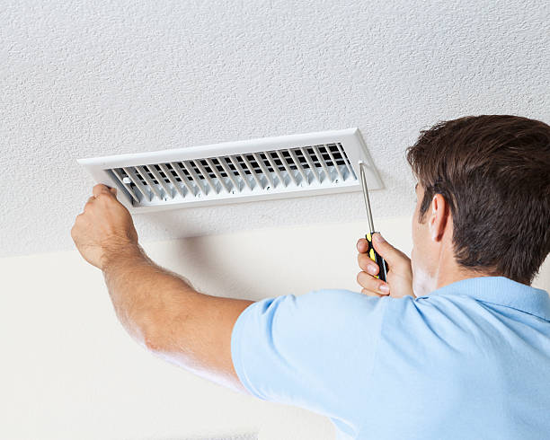 Best Black Mold Removal  in Las Campanas, NM