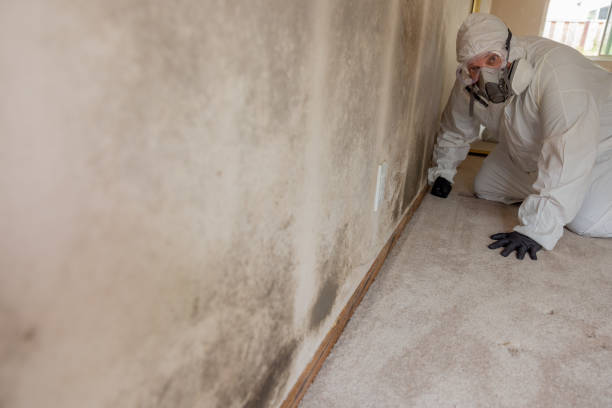 Best Biohazard Mold Removal  in Las Campanas, NM