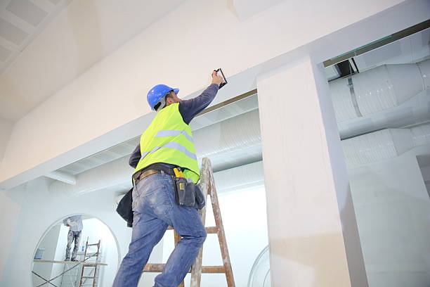 Best Emergency Mold Remediation  in Las Campanas, NM