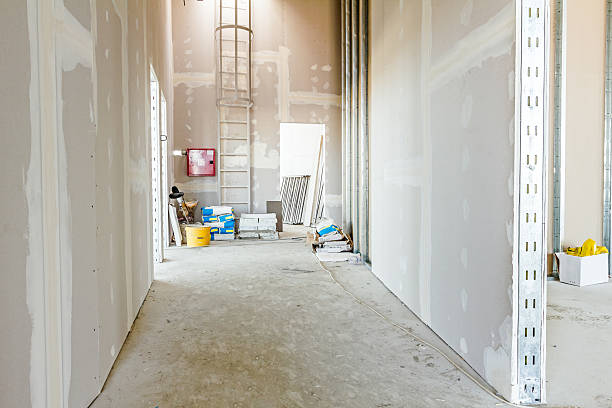 Best Asbestos and Lead Testing During Mold Inspection  in Las Campanas, NM