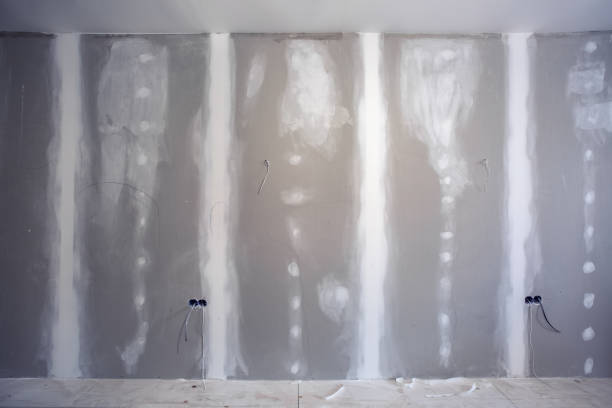 Reliable Las Campanas, NM Mold Removal Solutions